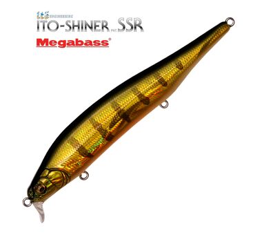 Megabass-Ito-Shiner-SSR-gg-perch