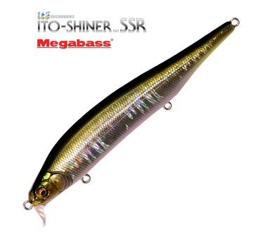 Megabass-Ito-Shiner-SSR-gg-tennessee-shad