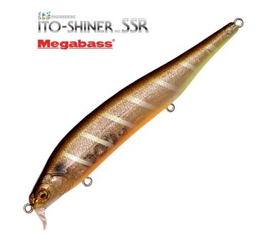 Megabass-Ito-Shiner-SSR-glx-galaxy-shiner