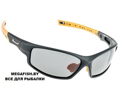 Очки Tagrider N25-2 Gray