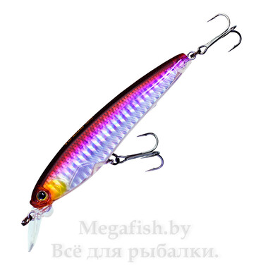 Воблер Yo-Zuri 3DS Minnow 100SP (17гр, 10см, 0-1,8м) suspending HHWS