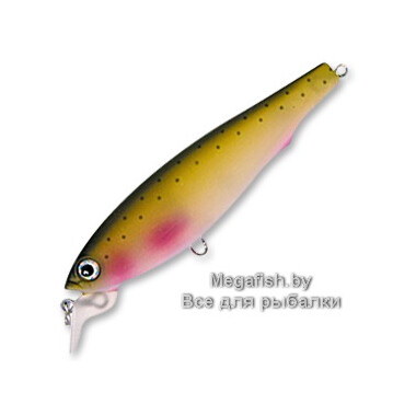 Воблер 3D Minnow (R725) NWRT