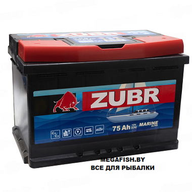 Аккумулятор ZUBR MARINE (75 Ah) , 12 V Обратная, R+ L3 ZM750