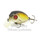 Воблер PONTOON 21 Red Rag 36F-SSR, 36мм,  5,7гр. 0,0 - 0,05м ., № 317
