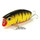 Воблер Lucky Craft Malas (9 гр; 5.7 см; 0.2 м) 701 Kansai Tiger