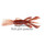 Силиконовая приманка Jackall Pine Shrimp 4,5 (11,4 см, упаковка — 6 шт.) цвет... Силиконовая приманка Jackall Pine Shrimp 4,5 (11,4 см, упаковка — 6 шт.) цвет...