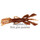 Силиконовая приманка Jackall Pine Shrimp 4,5 (11,4 см, упаковка — 6 шт.) цвет... Силиконовая приманка Jackall Pine Shrimp 4,5 (11,4 см, упаковка — 6 шт.) цвет...