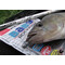 Приманка Lucky John Baby Rockfish 2.4" (6.1 см; 1.75 гр; 10 шт.) 033 2