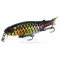 vobler-jackall-tiny-magallon-black-pirarucu