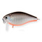 vobler-strike-pro-cranky-x-ss-50-floating-a70-713