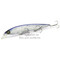 Воблер Megabass Kanata 160F (16см 30гр 0,8-1,2)  gp pro blue