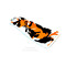 blesna-iris-sv-fishing-is036-ck01