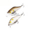 Expert-70F-A134