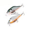 Expert-70F-A23