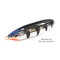 Rapala-Minnow-Spoon-SH