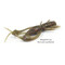 FishUp-Real-Craw-050