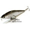 Воблер Lucky Craft EPG LL Pointer 170-808 Shiner