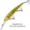 Bandit-Deep-Walleye-B26
