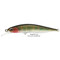 DUO-Realis-Jerkbait-85SP-CCC3313