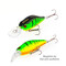 Akara-Fat-Shad-55F-A7