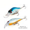 Akara-Fat-Shad-55F-A82