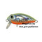 Kosadaka-Roger-Surf-LME