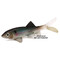 Berkley-Powerbait-HVS-Sick-Fish-Ghost-Minnow
