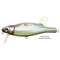 Megabass-Anthrax-M-Hasu