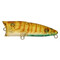Воблер-ZIPBAITS-ZBL-Popper-TINY-цвет-№-781R