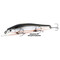 Kosadaka-Shinner-XS-115SP-SBL