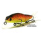 Tsuribito-Pike-Strike-88SP-029
