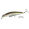 Daiwa-TD-Minnow-120SP-Wakasagi