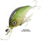 Deps-Korrigan-Magnum-250-05