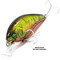 Deps-Korrigan-Magnum-250-43