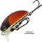 Kosadaka-May-Beetle-35F-B10