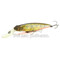 Pontoon21-Greedy-Guts-77F-SR-451