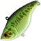 Deps-MS-Vibration-RT-08