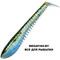 Pontoon21-Awaruna-Evo-1303