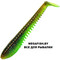 Pontoon21-Awaruna-Evo-4217
