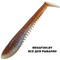Pontoon21-Awaruna-Evo-4230
