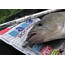 Приманка Lucky John Baby Rockfish 2.4" (6.1 см; 1.75 гр; 10 шт.) PA03 2