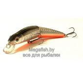 Minnow Jointed