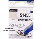 CARP-DOWN-51455