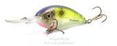 voblery-bomber-fat-free-shad-jr-bd6f