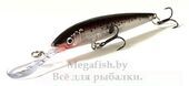 vobler-rapala-down-deep-husky-jerk-dhj10