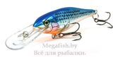 vobler-rapala-shad-rap-sr-07